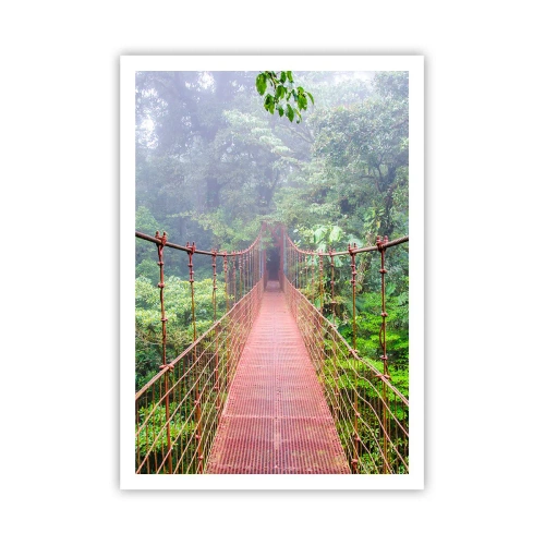 Poster - Über den Kronen aufgehängt - 70x100 cm