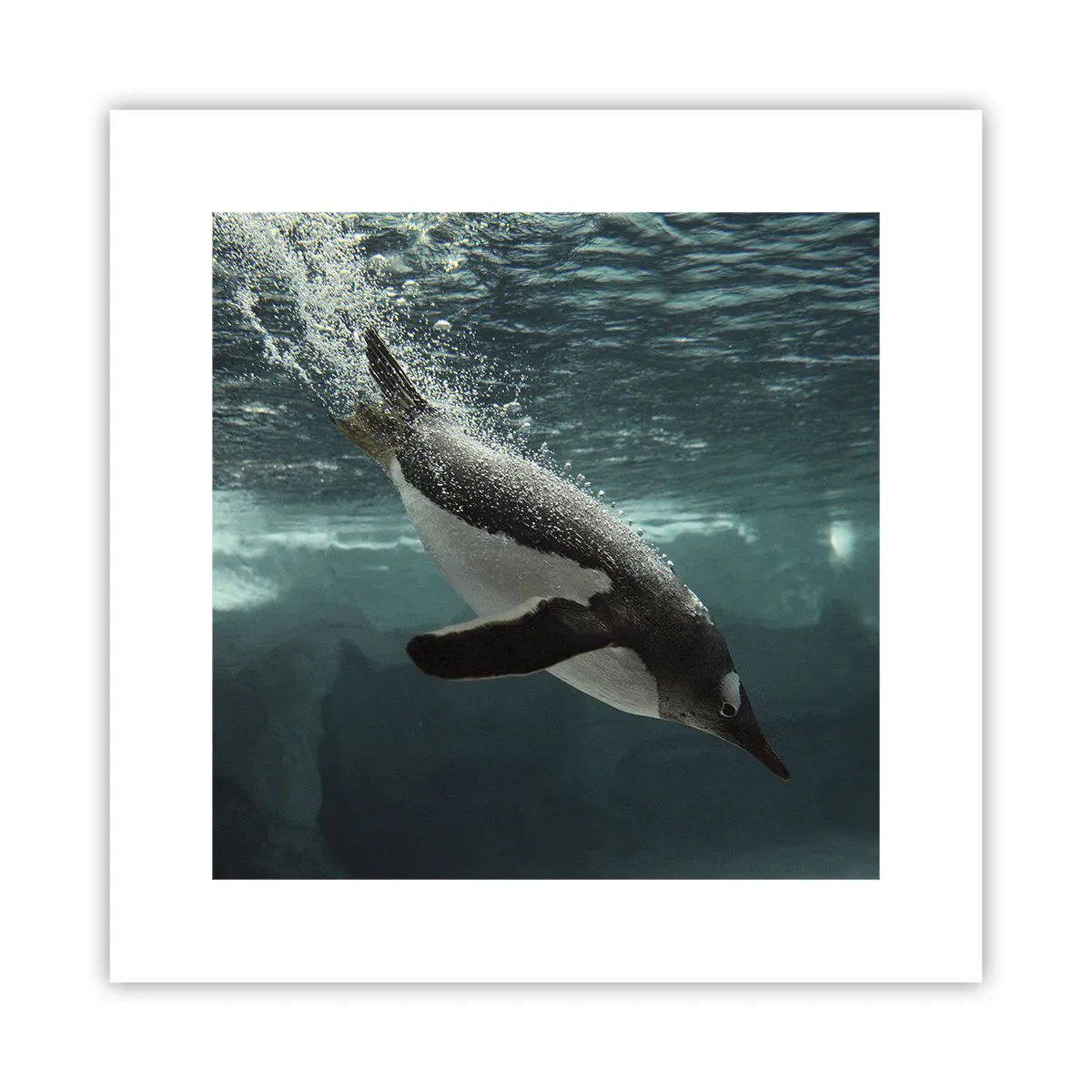 Poster - Willkommen in meiner Welt - 30x30 cm