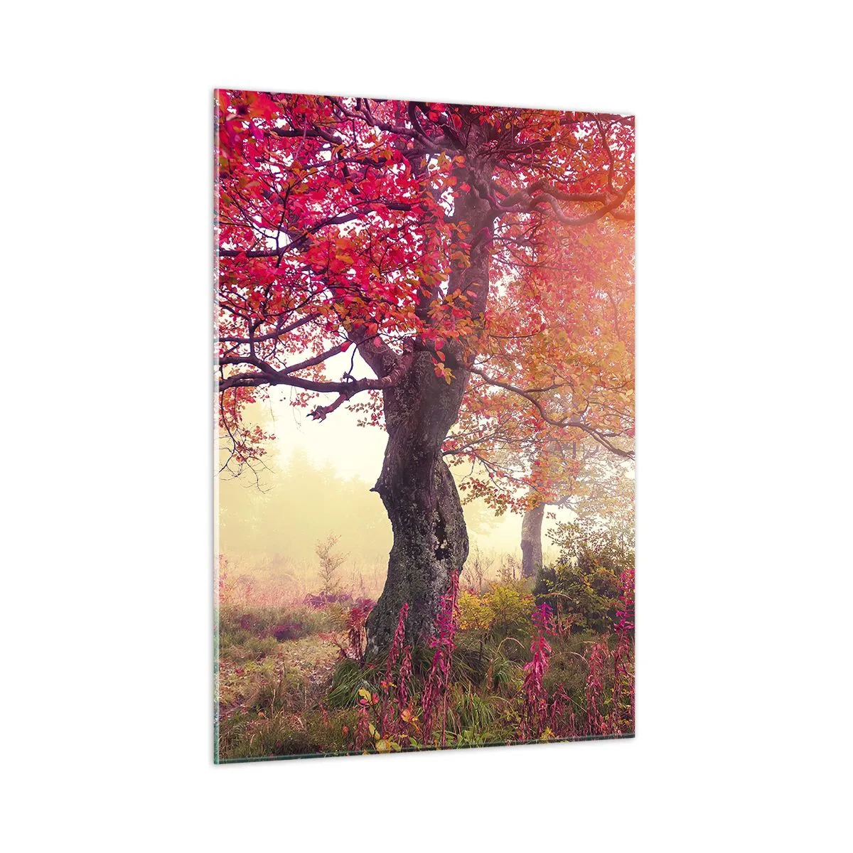 Glasbild - Bild auf glas - Herbstwald mit Sonnenstrahlen am Morgen - 50x70cm - Blühende Raserei - Moderne Wanddekoration für Wohnzimmer und Schlafzimmer ARTTOR