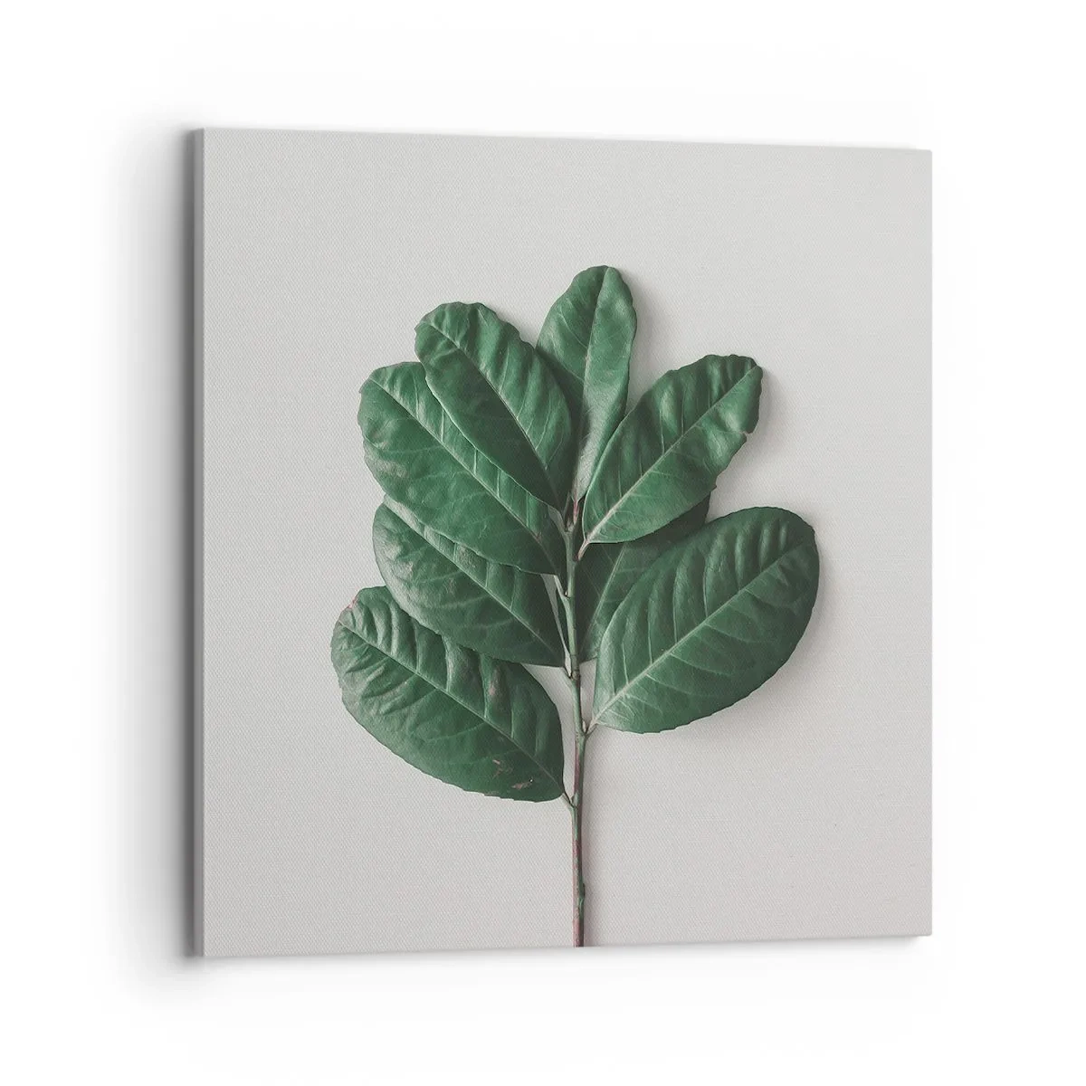 Bild auf Leinwand - Leinwandbild - Eine Zeichnung purer Natur - 70x70 cm