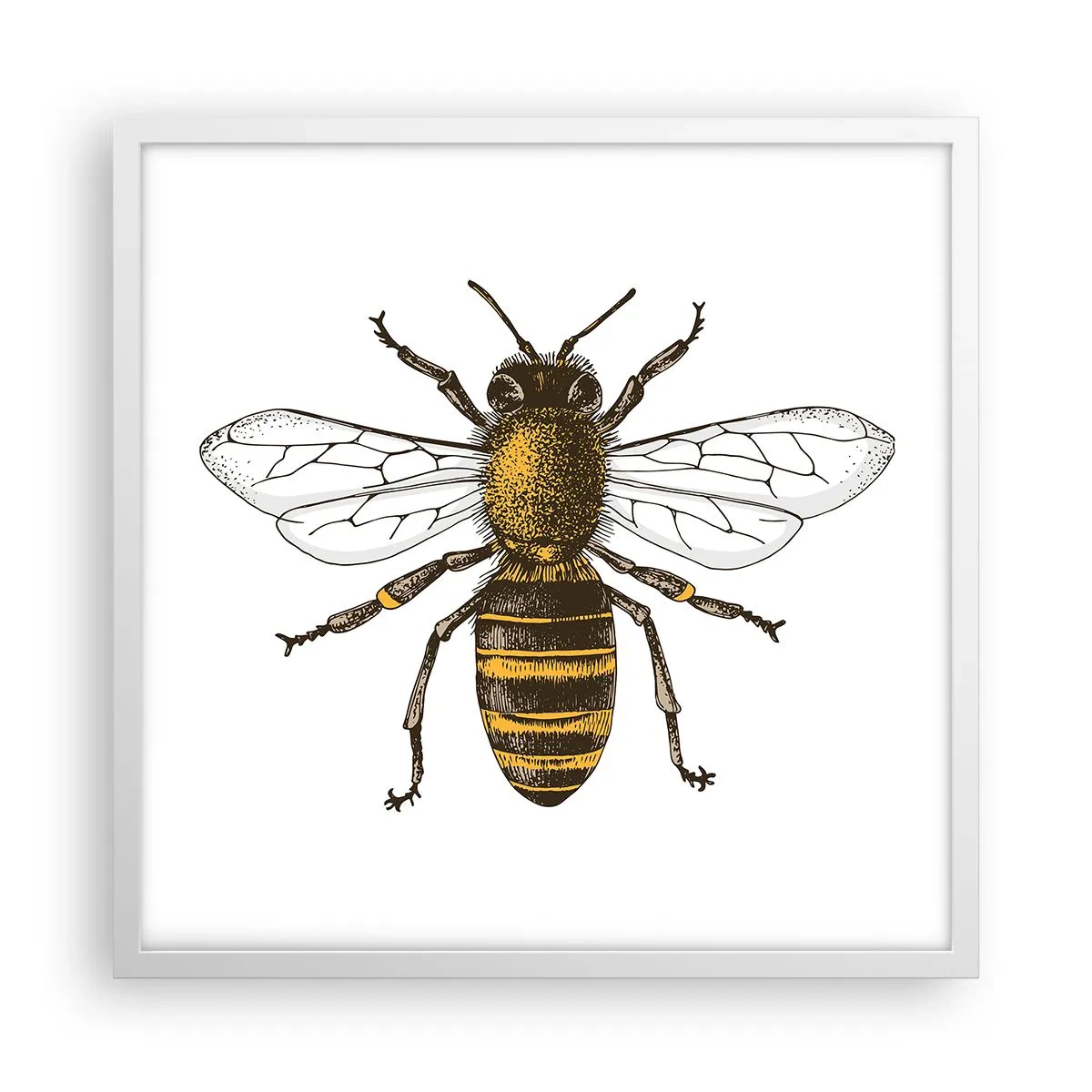 Poster in einem weißen Rahmen - Schön und gut - 50x50 cm