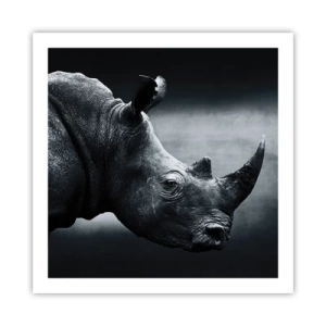 Poster - Richtiges Profil - 60x60 cm