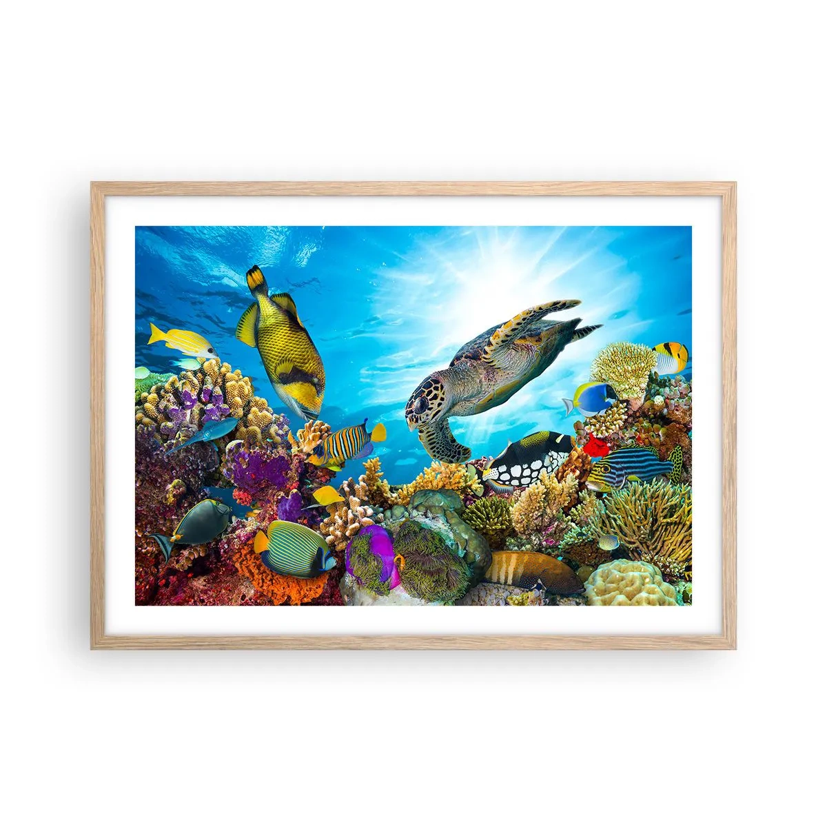 Poster in einem Rahmen aus heller Eiche - Korallenpromenade - 70x50 cm