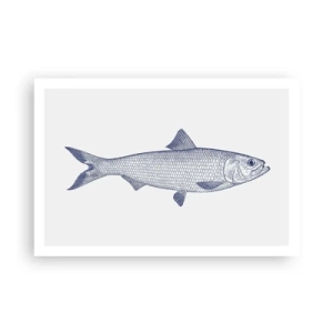 Poster - Grüße aus den nördlichen Meeren - 91x61 cm