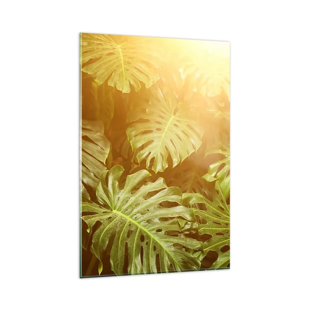 Glasbild - Bild auf glas - Monstera-Blätter im Sonnenlicht vor einem natürlichen Hintergrund - 80x120cm - Ins Grüne tretren... - Moderne Wanddekoration für Wohnzimmer und Schlafzimmer ARTTOR