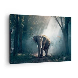 Bild auf Leinwand - Leinwandbild - Elefant im Waldlicht - 70x50cm - Ein gemütlicher Spaziergang - Moderne Wanddekoration für Wohnzimmer und Schlafzimmer ARTTOR
