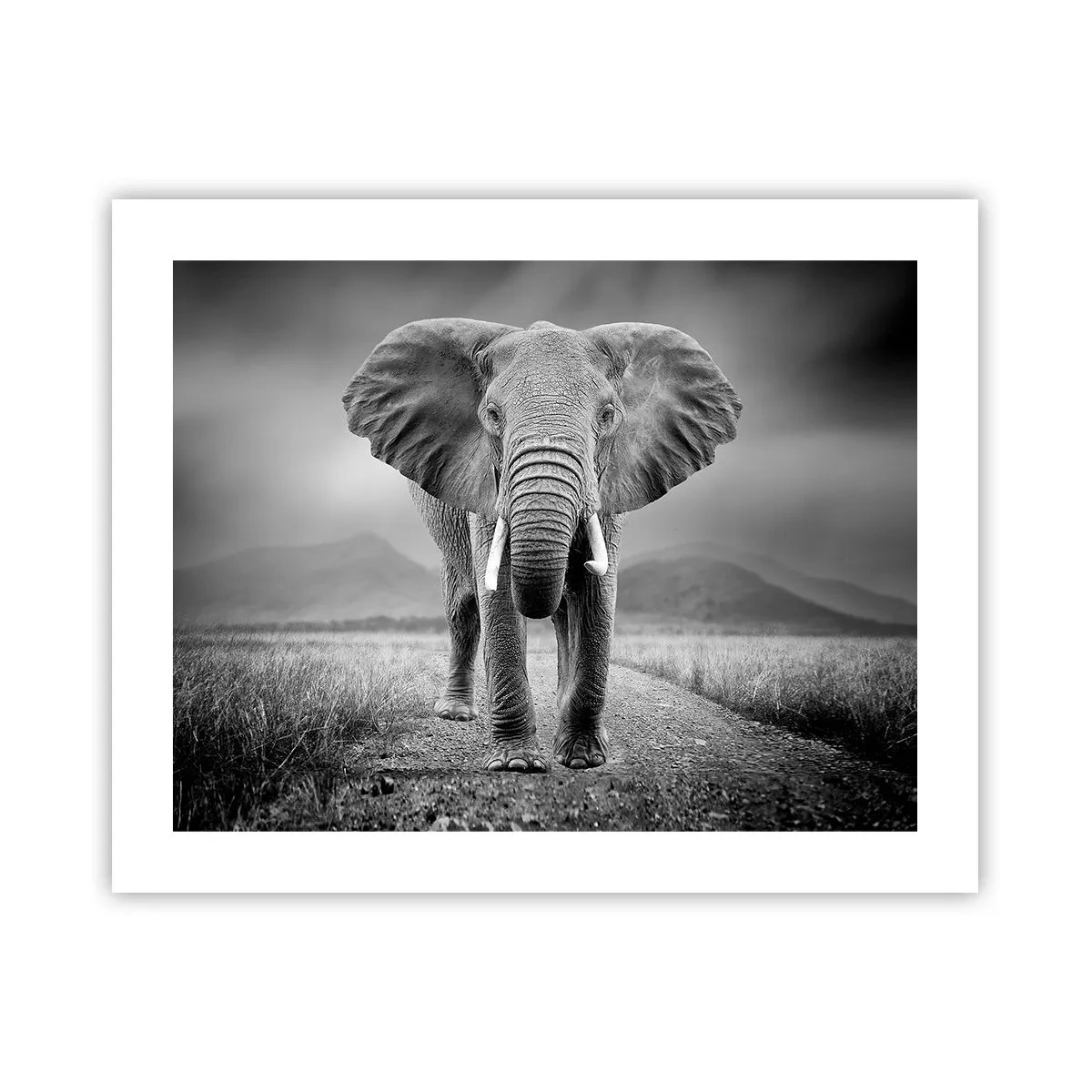 Poster - Der Gastgeber heißt willkommen - 50x40 cm