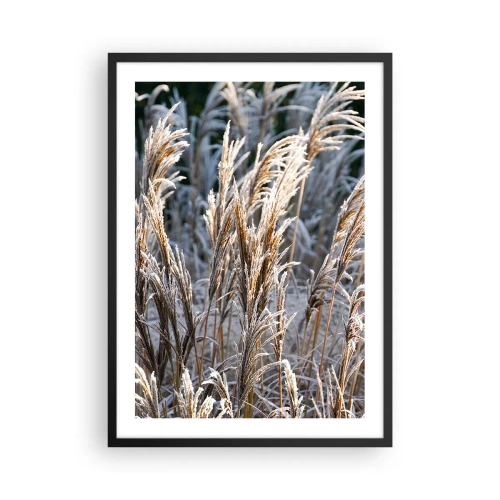 Poster in einem schwarzem Rahmen - Getrocknete Gräser mit Frost bedeckt in einer Winterlandschaft - 50x70cm - Gekleidet mit Frost - Moderne Wanddekoration für Wohnzimmer und Schlafzimmer ARTTOR