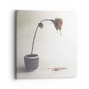 Bild auf Leinwand - Leinwandbild - Rosa dolorosa - 30x30 cm