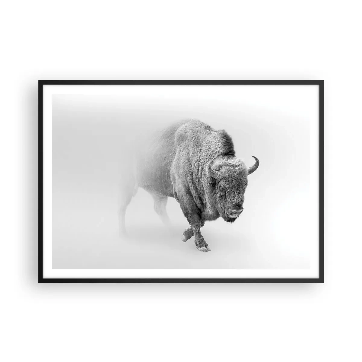 Poster in einem schwarzem Rahmen - Weißer Bison in minimalistischem Ambiente - 100x70cm - König der Prärie - Moderne Wanddekoration für Wohnzimmer und Schlafzimmer ARTTOR