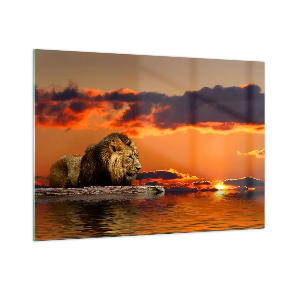 Glasbild - Bild auf glas - Ein Löwe vor dem Hintergrund der untergehenden Sonne - 100x70cm - König der Natur - Moderne Wanddekoration für Wohnzimmer und Schlafzimmer ARTTOR