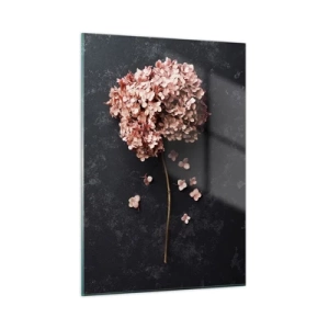 Glasbild - Bild auf glas - Trockene Hortensie mit verstreuten Blütenblättern auf dunklem Hintergrund - 50x70cm - Wirklich romantisches Zeichen - Moderne Wanddekoration für Wohnzimmer und Schlafzimmer ARTTOR
