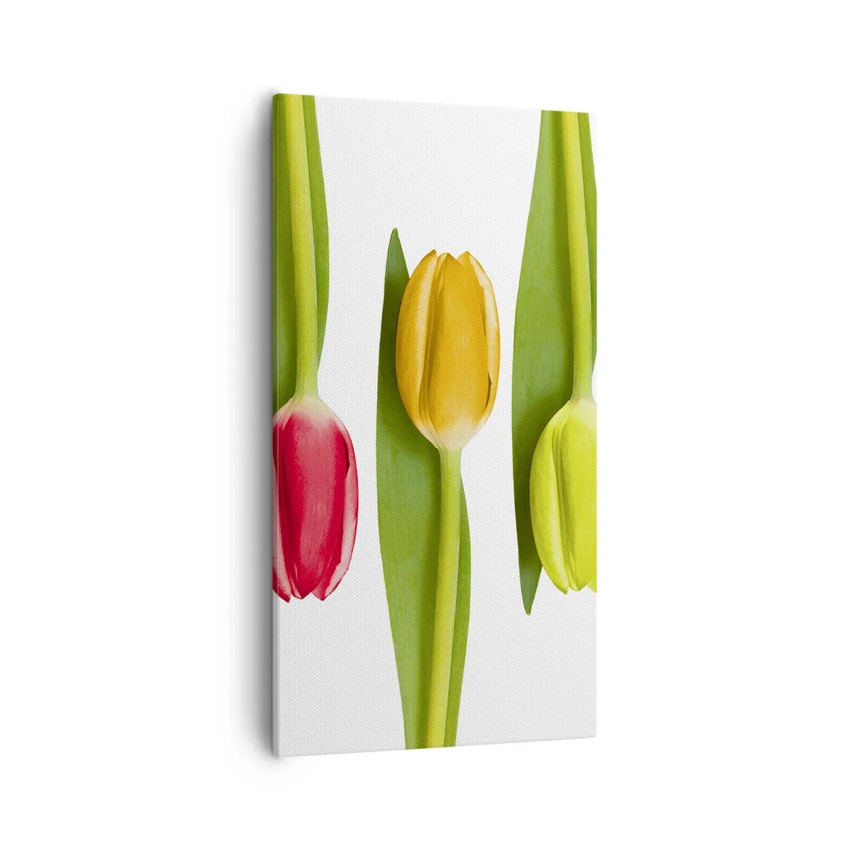 Bild auf Leinwand - Leinwandbild - Regenbogenkomposition - 55x100 cm