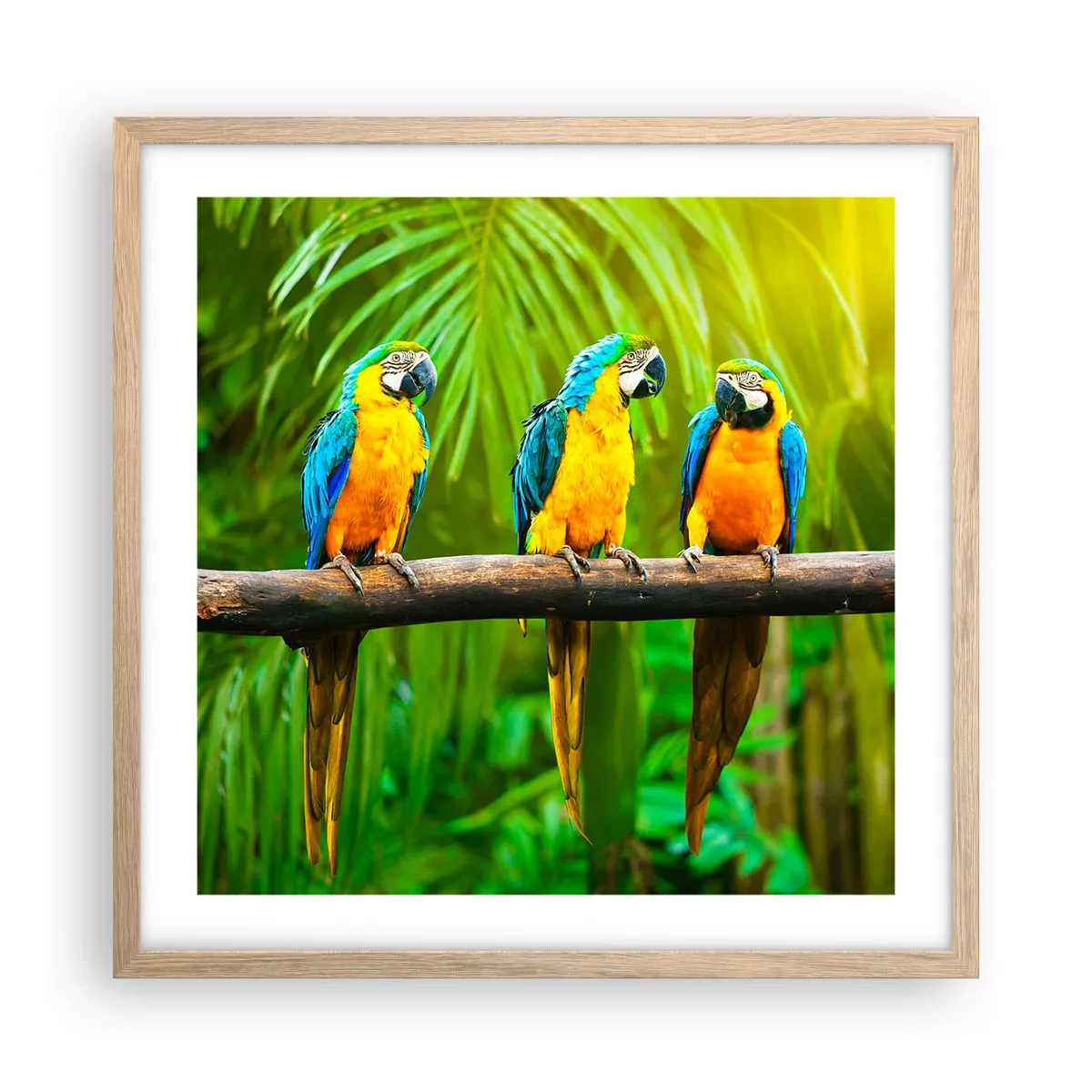 Poster in einem Rahmen aus heller Eiche - Und hast du gehört, dass sie ...? - 50x50 cm