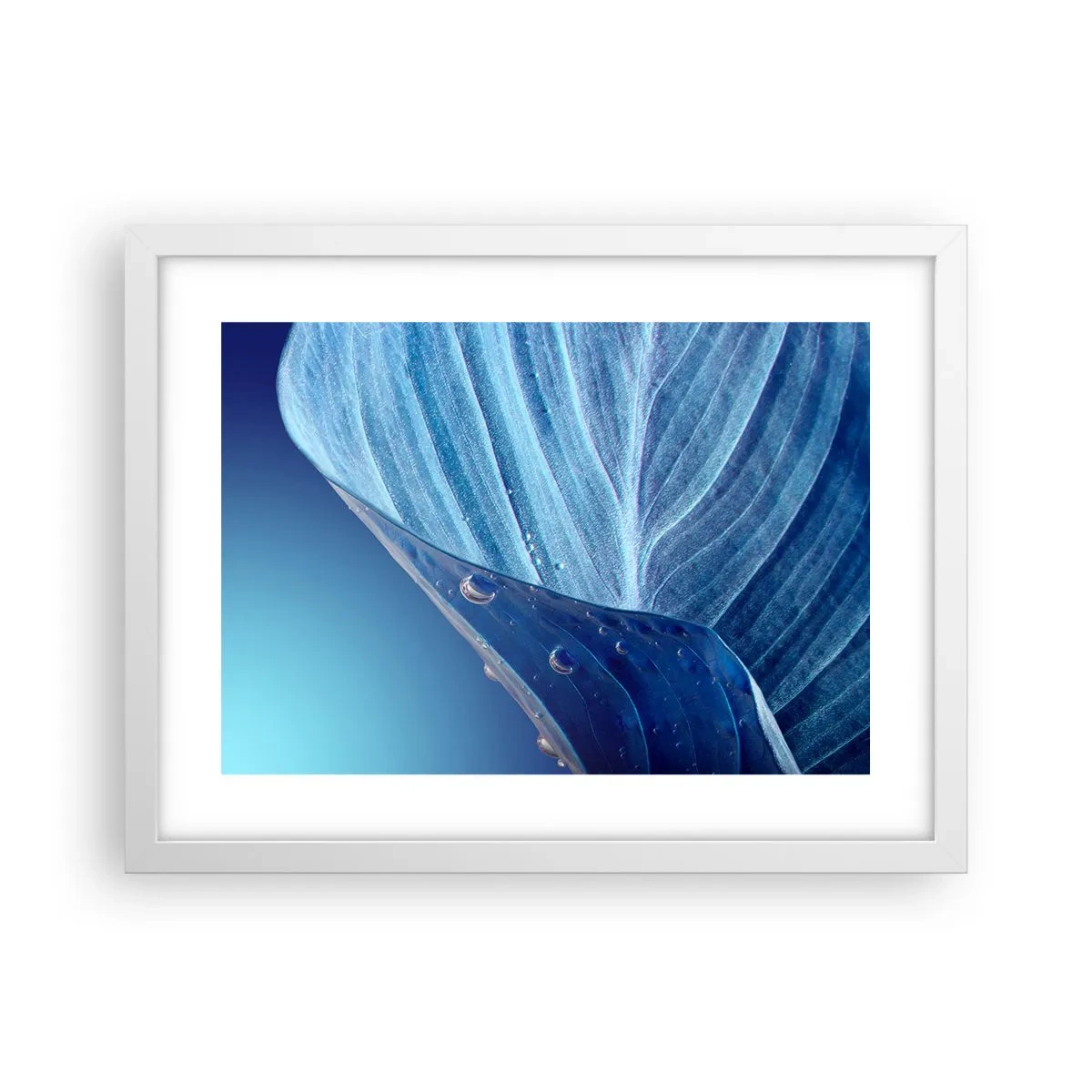Poster in einem weißen Rahmen - Versteckte Tropfen vom Blau - 40x30 cm