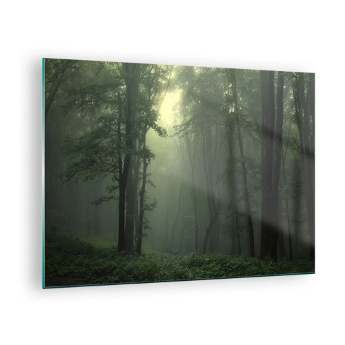 Glasbild - Bild auf glas - Ein dunkler Wald, in Nebel gehüllt, mit Lichtstrahlen - 70x50cm - Bevor er aufwacht - Moderne Wanddekoration für Wohnzimmer und Schlafzimmer ARTTOR