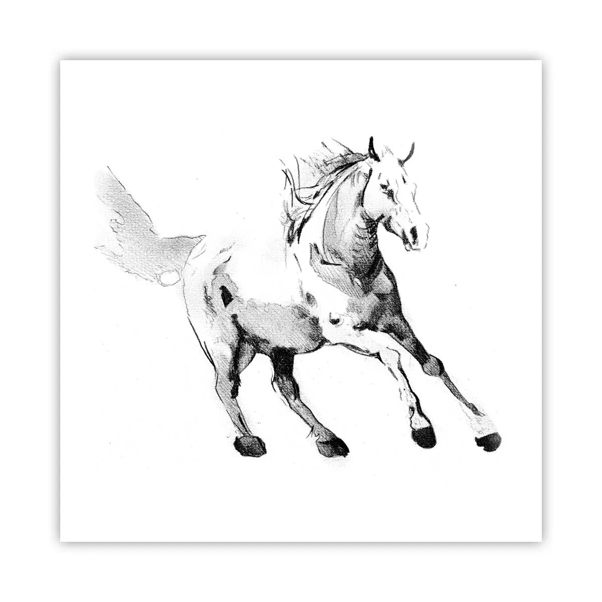 Poster - Ungezähmte Seele - 50x50 cm