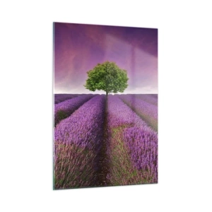 Glasbild - Bild auf glas - Ein Lavendelfeld mit einem einsamen Baum vor dem Himmel - 50x70cm - Auf Lavendelfeldern - Moderne Wanddekoration für Wohnzimmer und Schlafzimmer ARTTOR