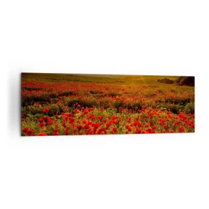 Bild auf Leinwand - Leinwandbild - Ein Feld mit roten Mohnblumen im Schein der untergehenden Sonne - 160x50cm - Unter den Wellen raschelnder Wiesen, unter den Blumen der Flut - Moderne Wanddekoration für Wohnzimmer und Schlafzimmer ARTTOR