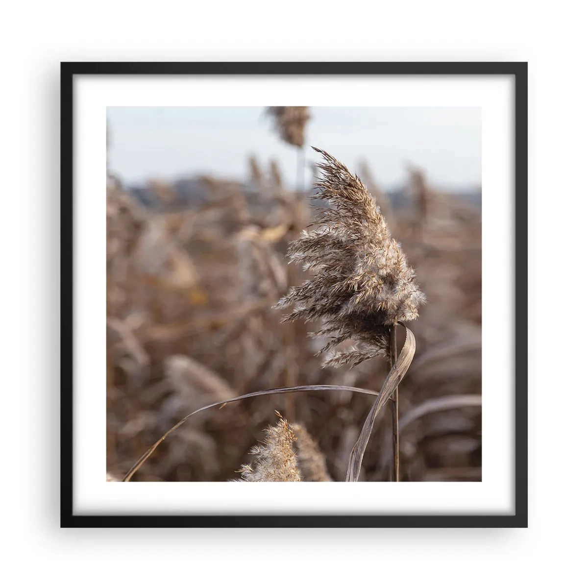 Poster in einem schwarzem Rahmen - Zeit, mit dem Wind zu gehen - 50x50 cm