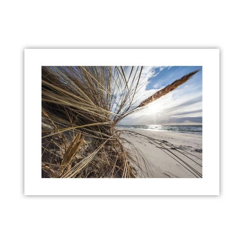 Poster - Ein Treffen der Elemente der Natur - 40x30 cm