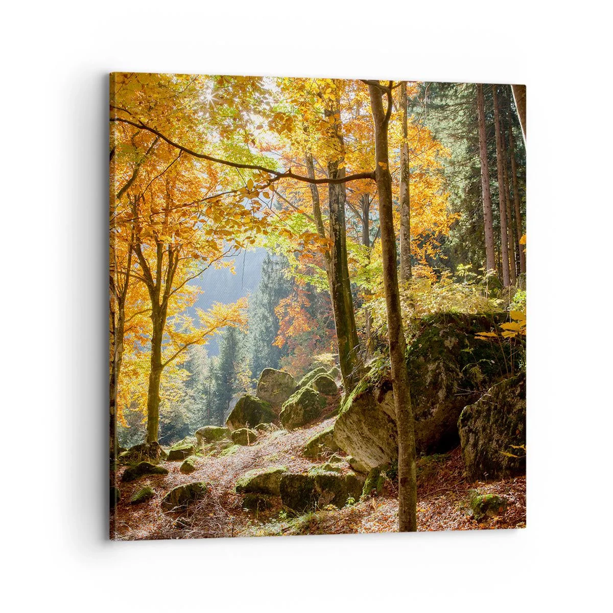 Bild auf Leinwand - Leinwandbild - Zeit zum Entspannen - 70x70 cm