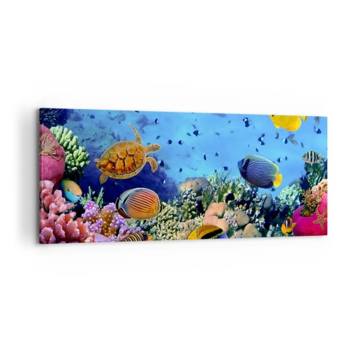 Bild auf Leinwand - Leinwandbild - Korallenriff mit bunten Fischen und einer Meeresschildkröte - 120x50cm - Und was wissen wir über das Leben ... - Moderne Wanddekoration für Wohnzimmer und Schlafzimmer ARTTOR
