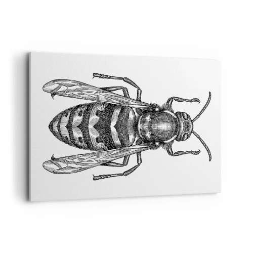 Bild auf Leinwand - Leinwandbild - Ein Cartoon-Wespenmotiv auf weißem Hintergrund im minimalistischen Stil. - 100x70cm - Von einem Insektenplaneten - Moderne Wanddekoration für Wohnzimmer und Schlafzimmer ARTTOR