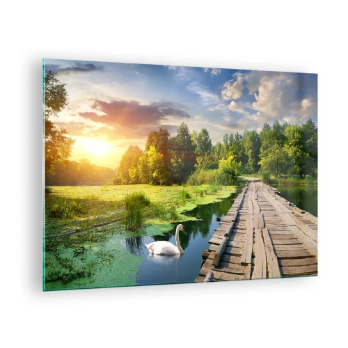 Glasbild - Bild auf glas - Holzsteg über einem See mit einem Schwan bei Sonnenuntergang - 70x50cm - Sommer, Sommer überall - Moderne Wanddekoration für Wohnzimmer und Schlafzimmer ARTTOR