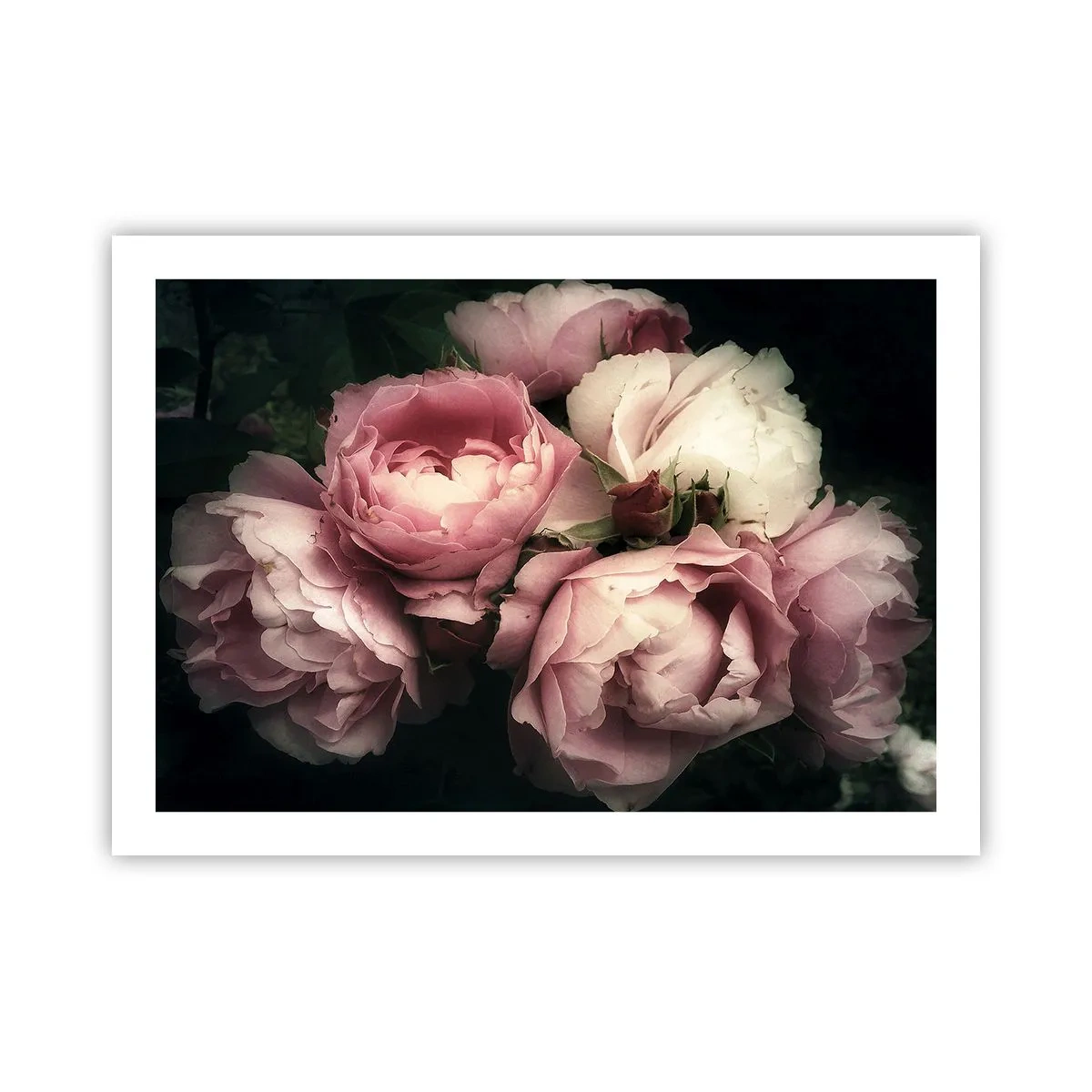 Poster - Der Charme der Belle Epoque - 70x50 cm