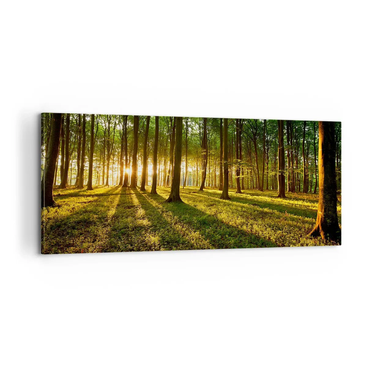 Bild auf Leinwand - Leinwandbild - Alle Frühlingsfotografie - 100x40 cm
