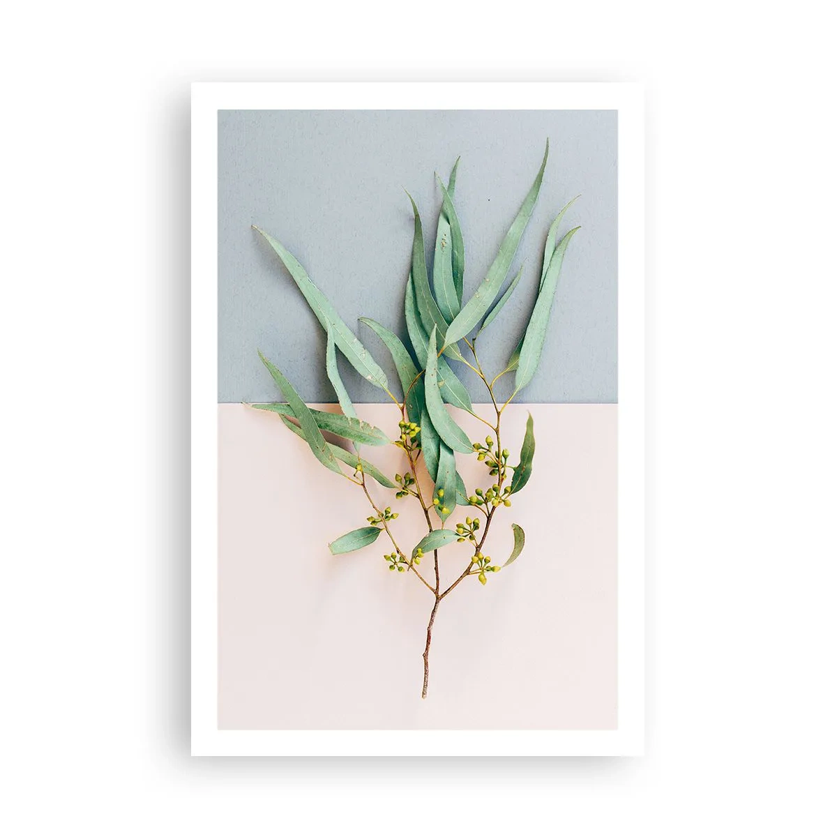 Poster - Pastellige Subtilität - 61x91 cm