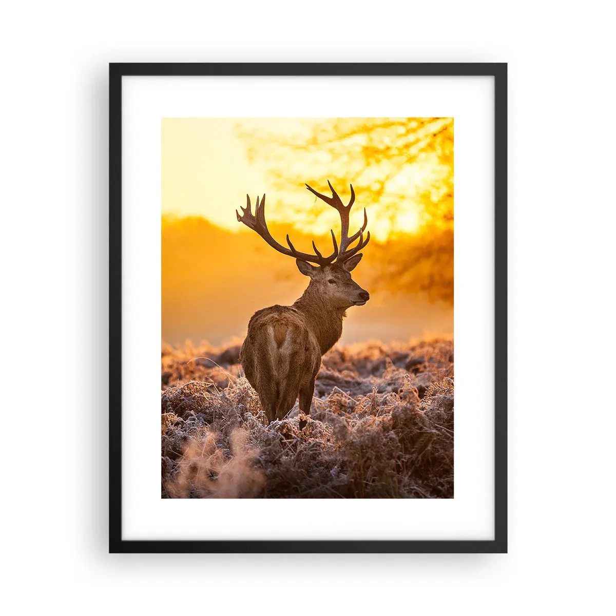 Poster in einem schwarzem Rahmen - König des Herbstwaldes - 40x50 cm