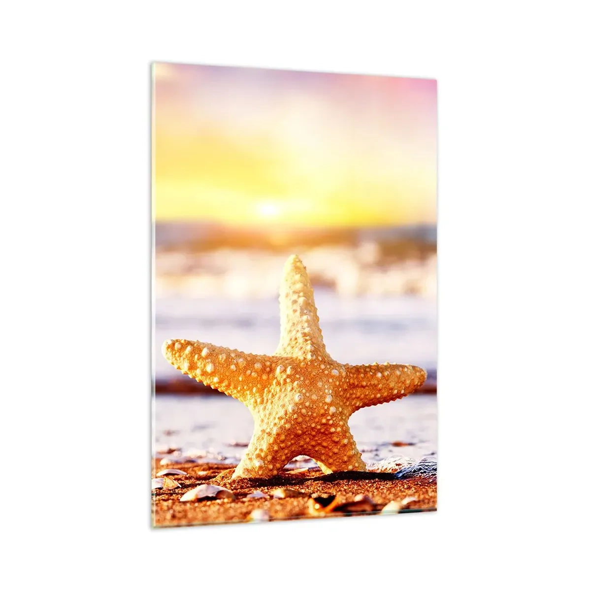 Glasbild - Bild auf glas - Ein Seestern an einem Sandstrand im Schein der untergehenden Sonne - 80x120cm - Meer Geschenk - Moderne Wanddekoration für Wohnzimmer und Schlafzimmer ARTTOR
