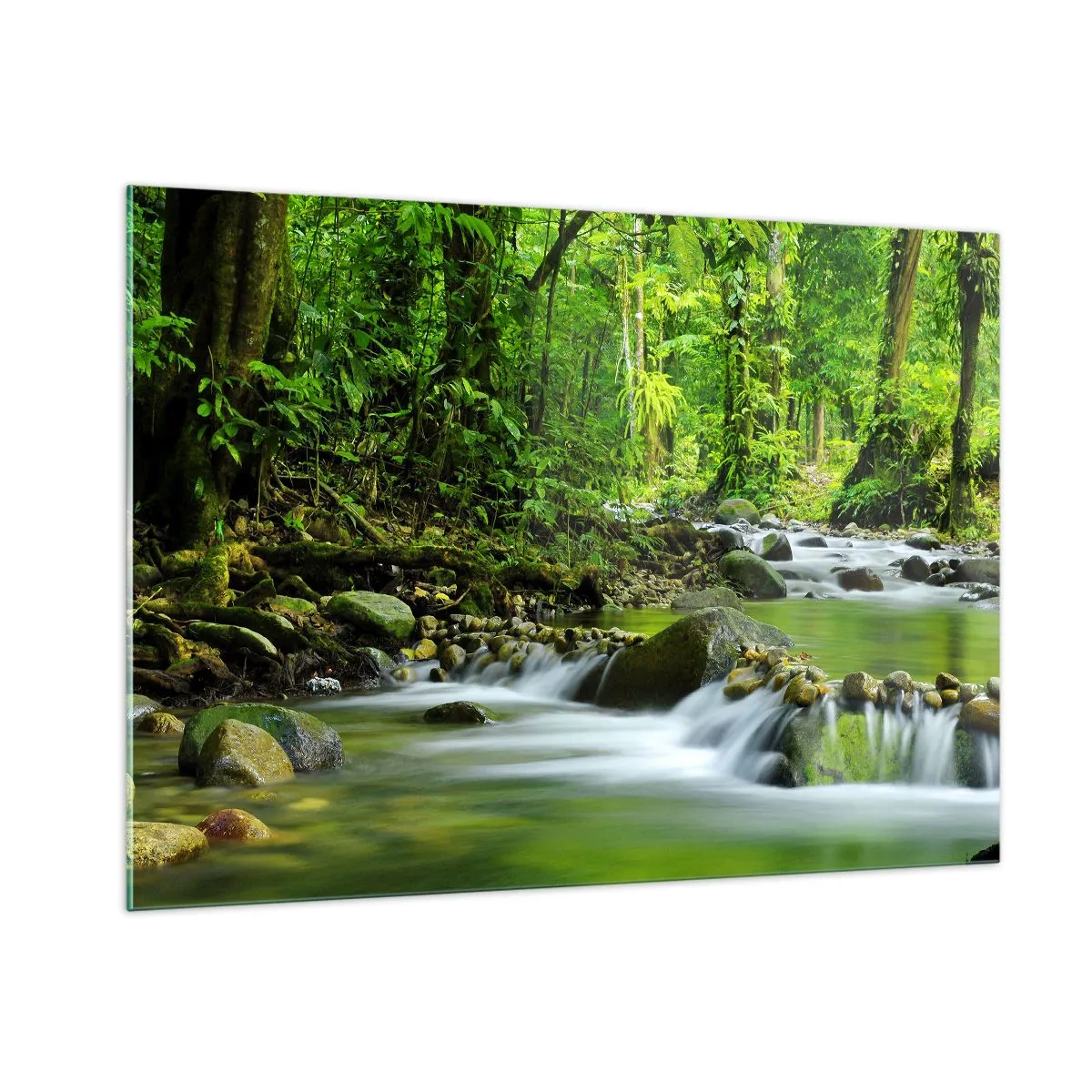 Glasbild - Bild auf glas - Ein Waldbach, umgeben von üppiger Vegetation - 100x70cm - Schwimmen Sie in einem Meer aus Grün - Moderne Wanddekoration für Wohnzimmer und Schlafzimmer ARTTOR