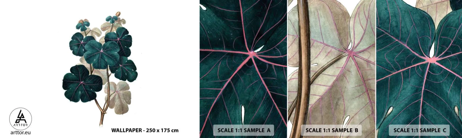 Fototapeten Muster Selbstklebend Deluxe Sticker - Aus dem alten Herbarium - Anlage, Blätter, Botanik - 100x30 cm