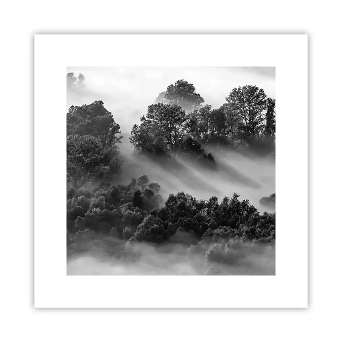 Poster - Aufstehend aus dem Schlaf - 30x30 cm