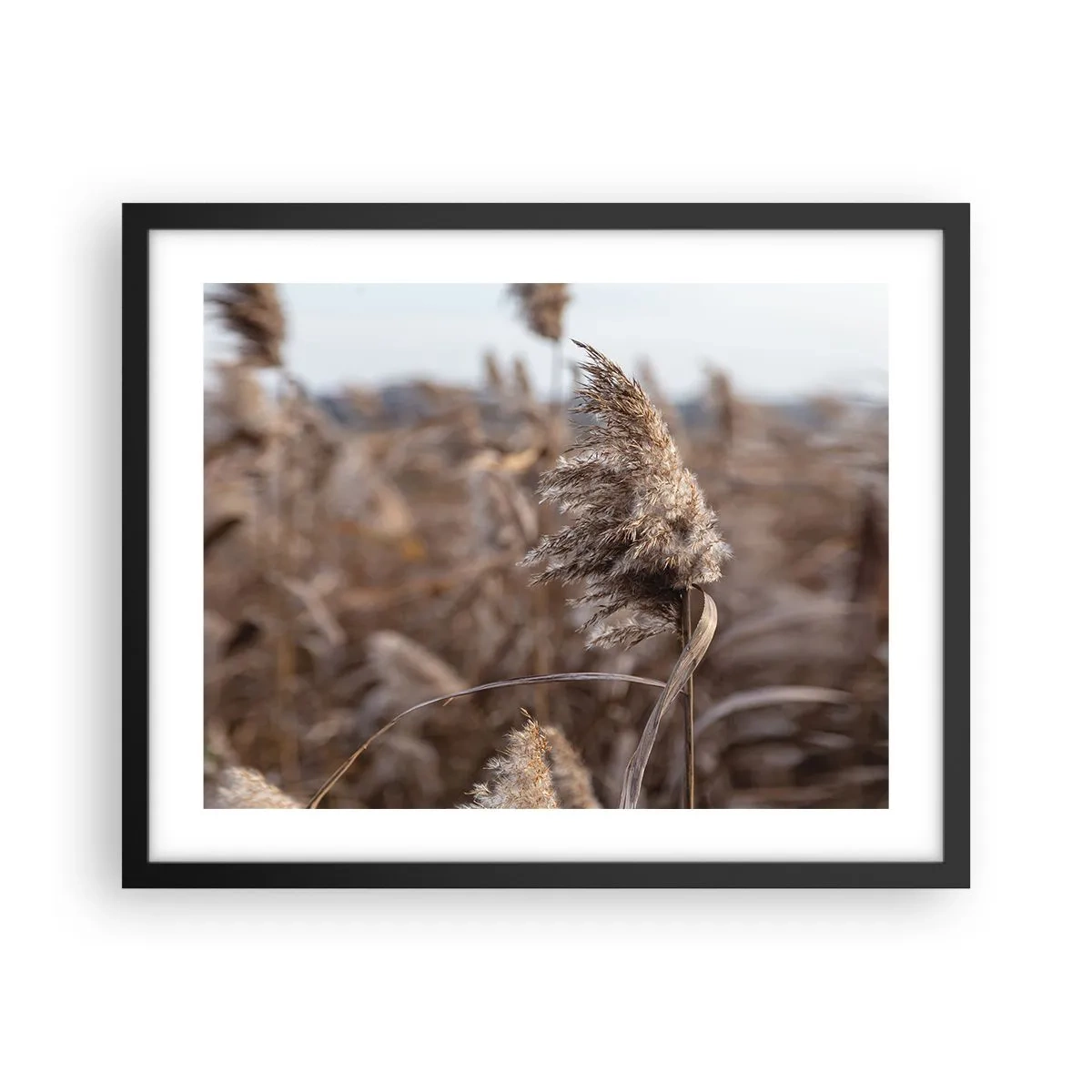 Poster in einem schwarzem Rahmen - Zeit, mit dem Wind zu gehen - 50x40 cm