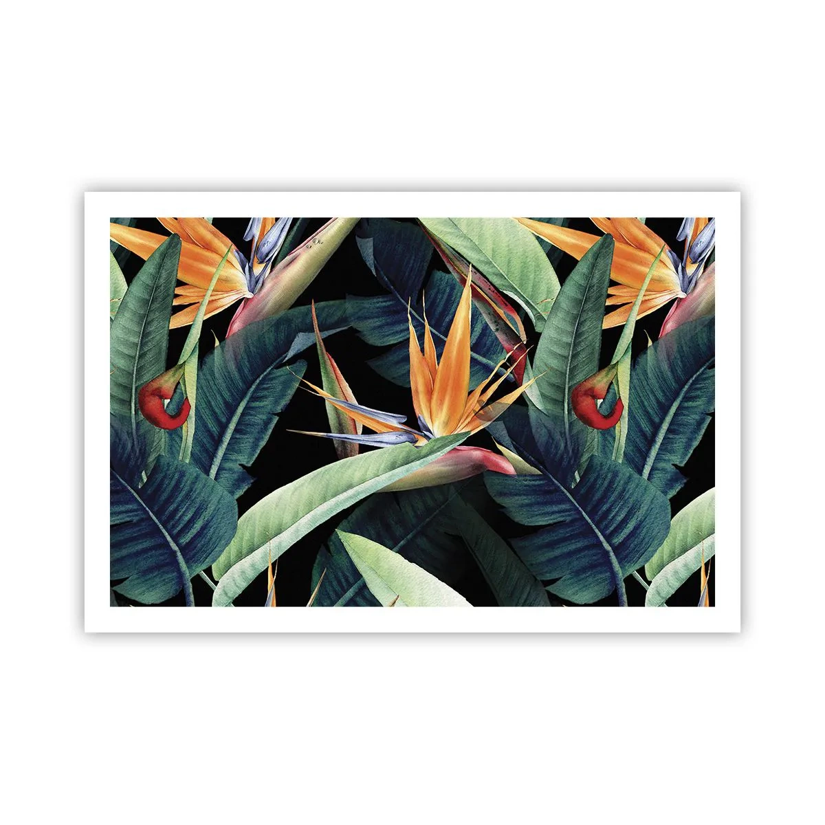 Poster - Flammende Blumen der Tropen - 91x61 cm