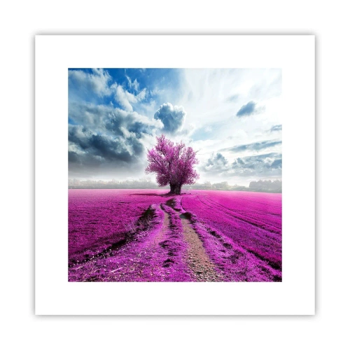Poster - Heide - Wildnis - 30x30 cm