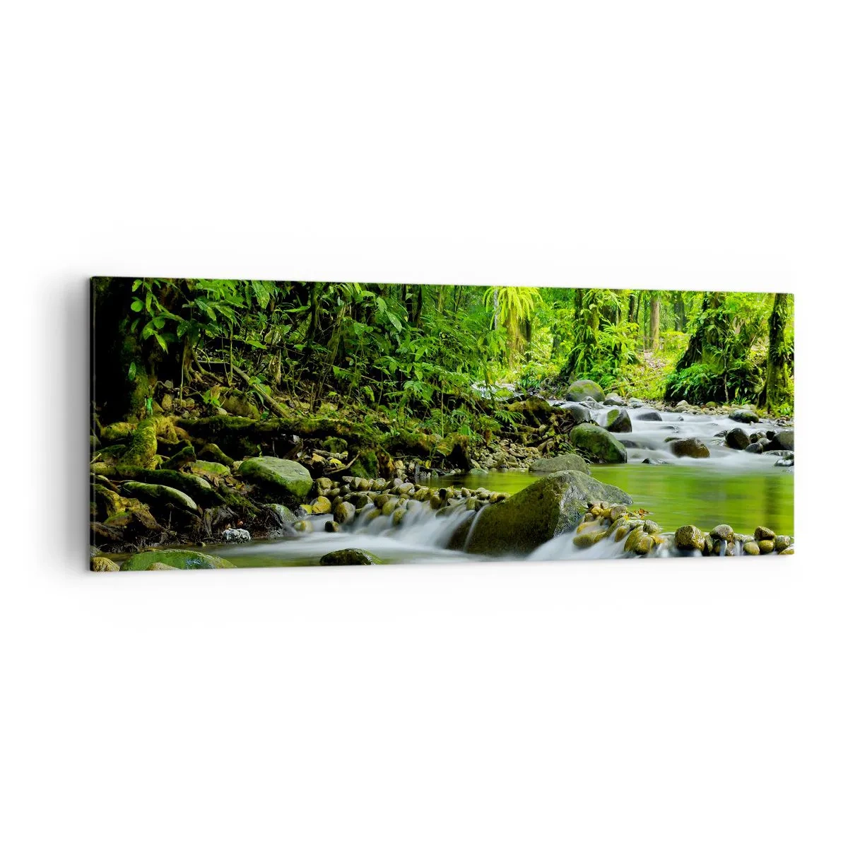 Bild auf Leinwand - Leinwandbild - Ein Bach in einem üppigen tropischen Wald - 140x50cm - Schwimmen Sie in einem Meer aus Grün - Moderne Wanddekoration für Wohnzimmer und Schlafzimmer ARTTOR