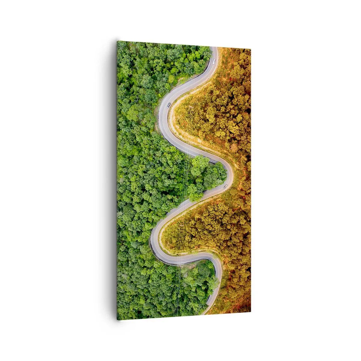 Bild auf Leinwand - Leinwandbild - Grenzen und Durchbrüche - 65x120 cm