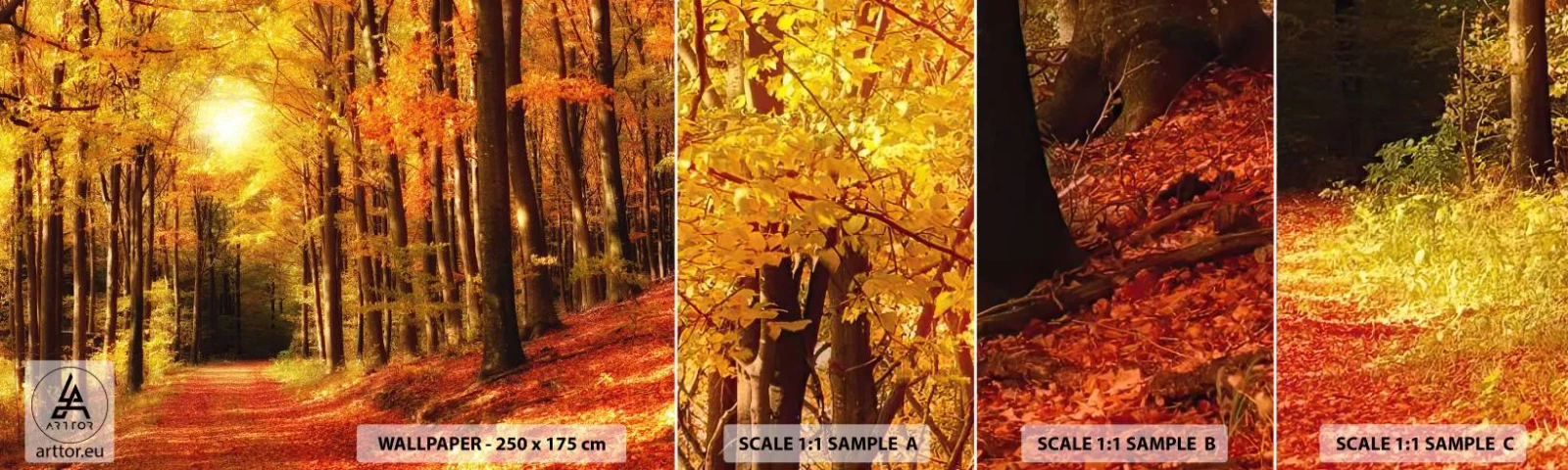 Fototapetenmuster Standard Eco - Goldener Herbst auf einer Forststraße - Herbst, Wald, Landschaft - 100x30 cm