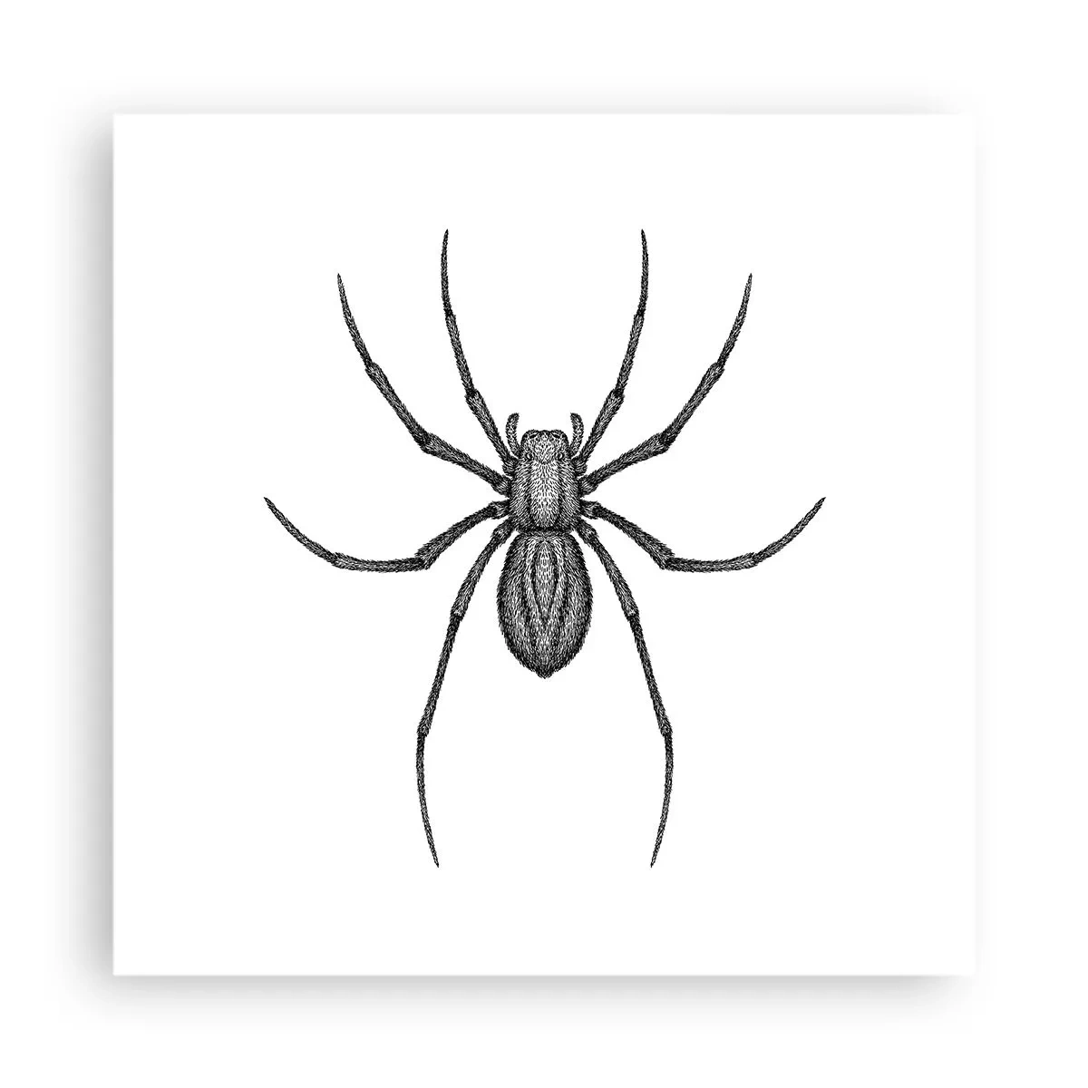 Poster - Beunruhigende Präzision - 40x40 cm