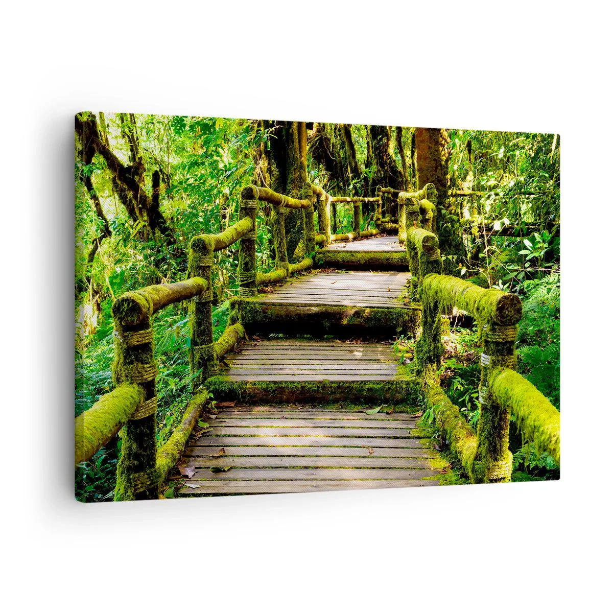 Bild auf Leinwand - Leinwandbild - Eine mit Moos bedeckte Holzbrücke in einem tropischen Regenwald - 70x50cm - Ein Korridor voller Grün - Moderne Wanddekoration für Wohnzimmer und Schlafzimmer ARTTOR