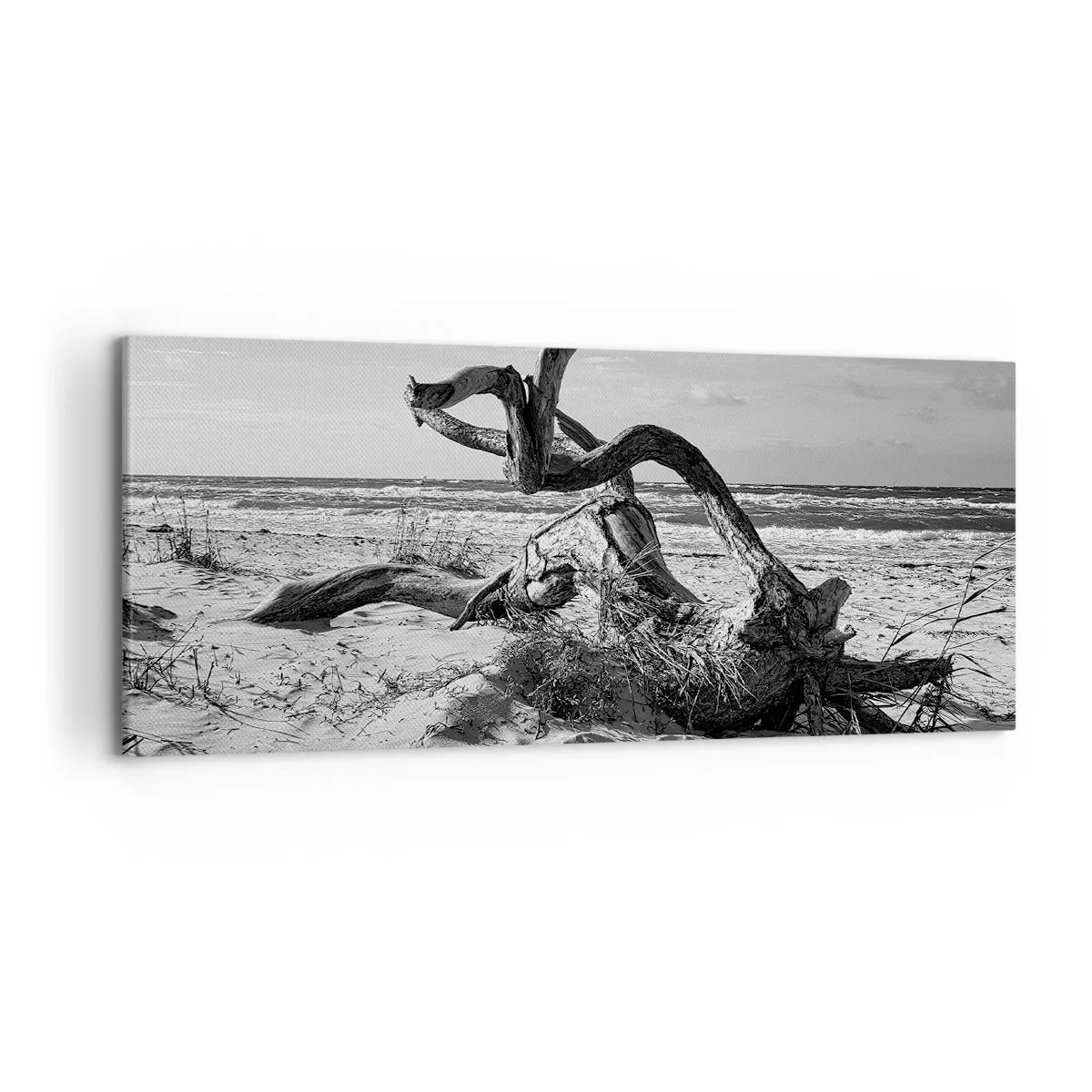 Bild auf Leinwand - Leinwandbild - Schwarz-weiße Landschaft mit einem toten Baum am Strand - 120x50cm - Meeresskulptur - Moderne Wanddekoration für Wohnzimmer und Schlafzimmer ARTTOR