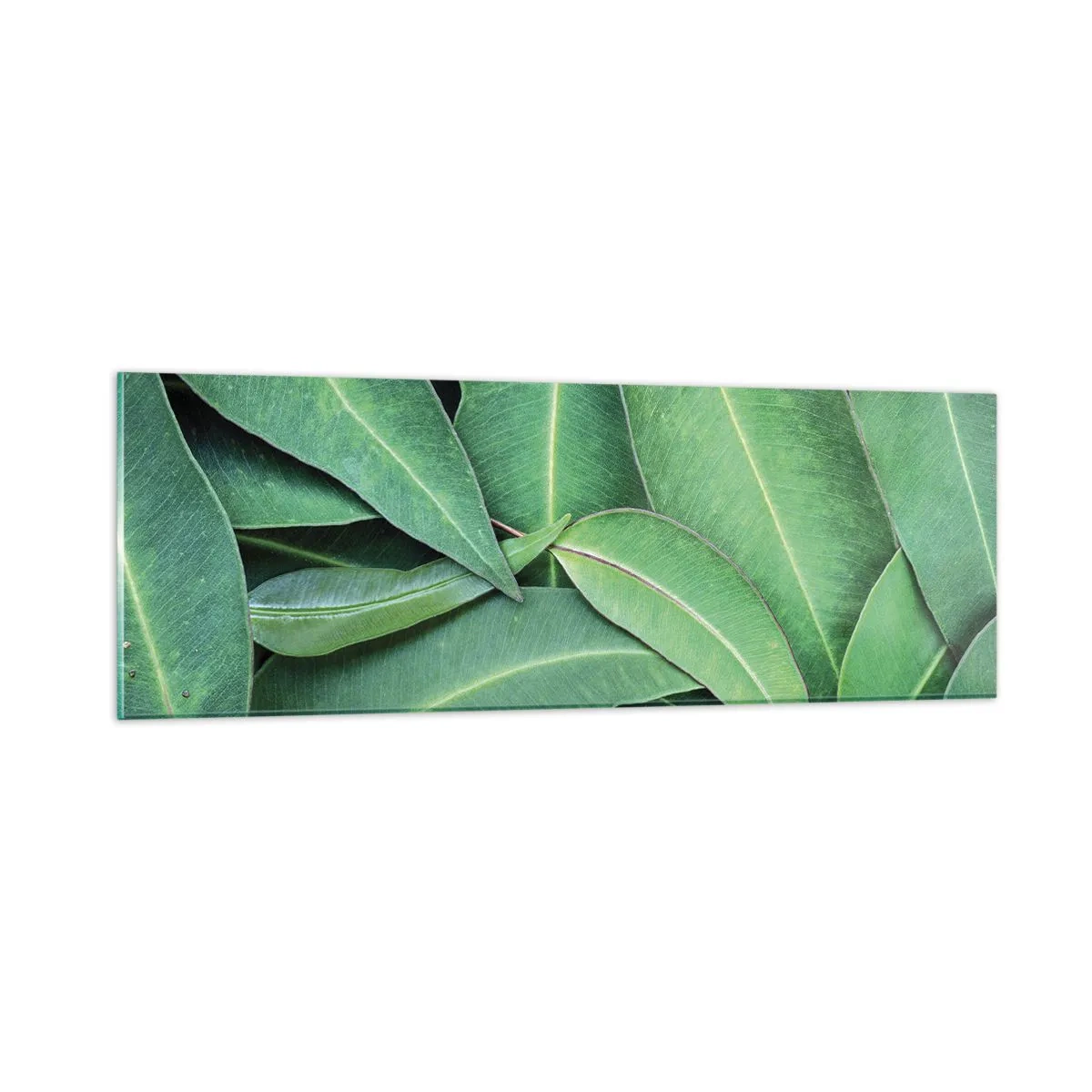 Glasbild - Bild auf glas - Saftig und frisch - 90x30 cm