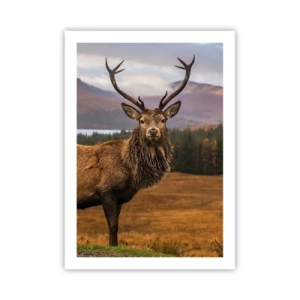 Poster - Fotografie eines Hirsches vor einer Berglandschaft - 50x70cm - Die Majestät der Natur - Moderne Wanddekoration für Wohnzimmer und Schlafzimmer ARTTOR