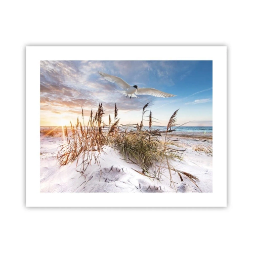 Poster - Wind vom Meer - 50x40 cm
