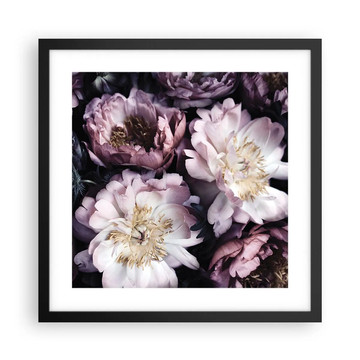 Poster in einem schwarzem Rahmen - Blumenstrauß im alten Stil - 40x40 cm